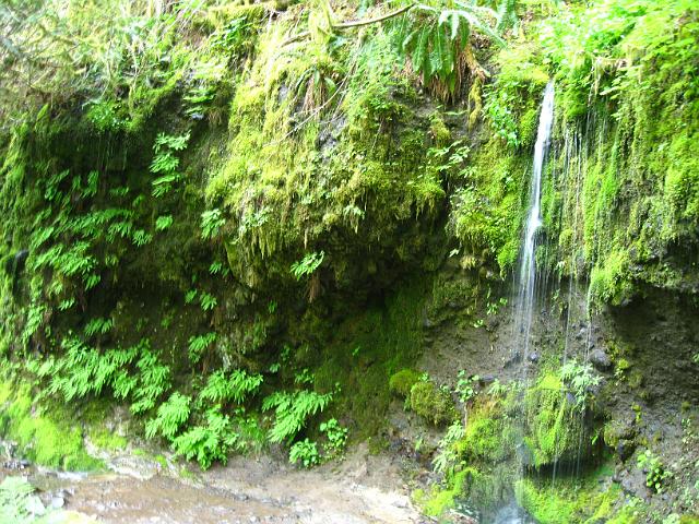 Eagle Creek-106.JPG - Eagle Creek